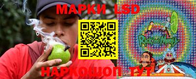 MDMA Гай