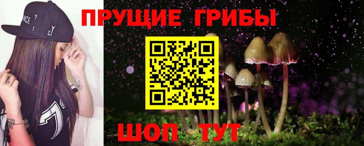 Псилоцибиновые грибы Psilocybe  Галлюциногенные грибы Cubensis  Вход с VPN  Новокубанск 